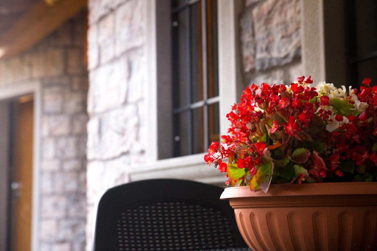 B&B San Pellegrino Terme Zogno Экстерьер фото